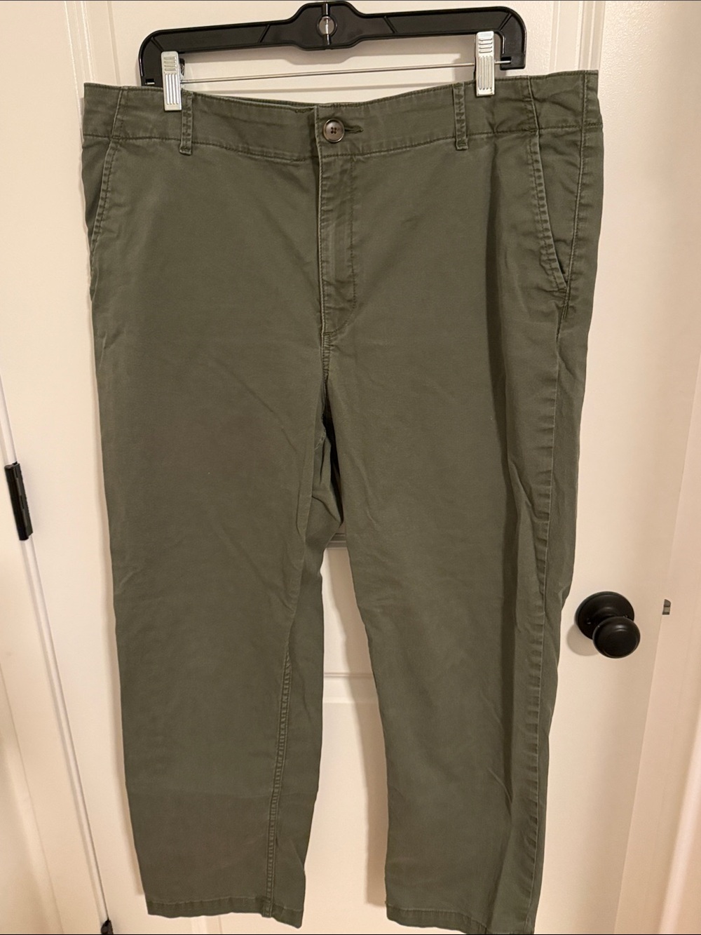 Loft The Perfect Straight pant size 16T